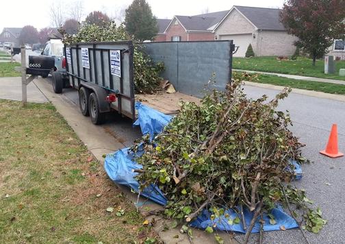 Dumpster bin rentals and junk removal Kamloops